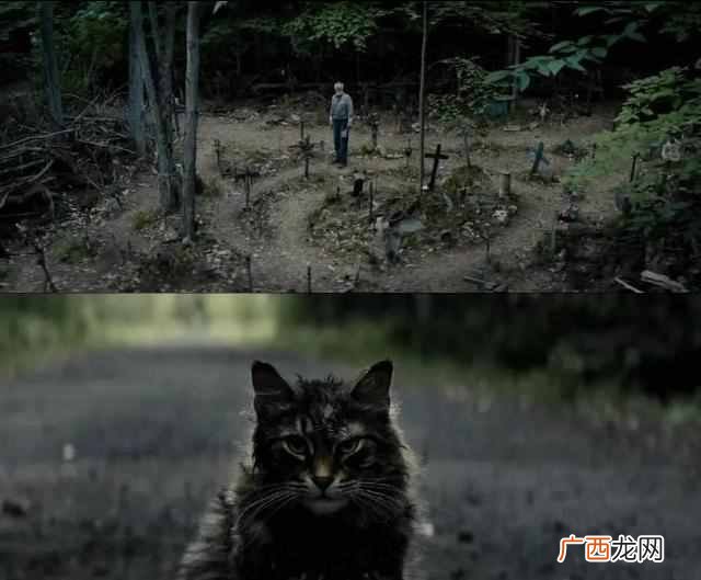 2019中国有什么好看的鬼片（最值得期待的11部恐