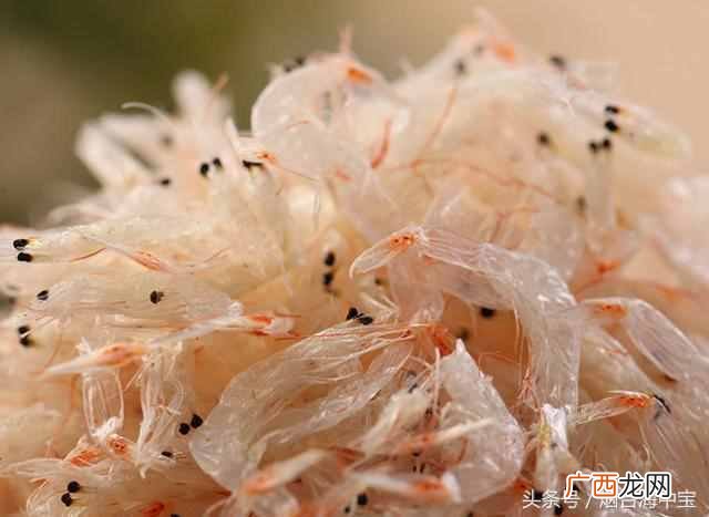 虾皮是什么样子的东西（正确吃虾皮才能体现虾