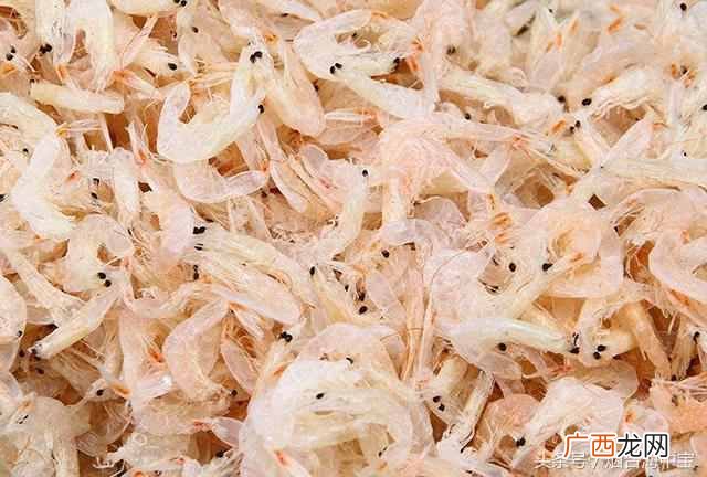 虾皮是什么样子的东西（正确吃虾皮才能体现虾
