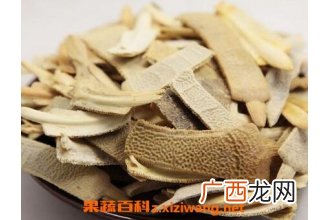 鳖甲的功效及作用 鳖甲的药用价值