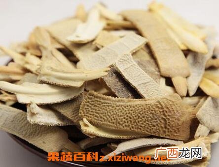 鳖甲的功效及作用 鳖甲的药用价值