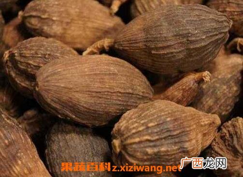 草果的功效与作用 草果的食用方法及禁忌