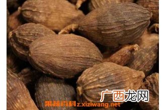 草果的功效与作用 草果的食用方法及禁忌