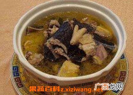 乌梢蛇的功效与作用 乌梢蛇的食用方法及禁忌