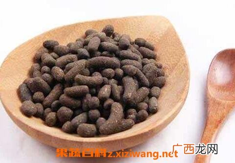 五灵脂的功效与作用及禁忌