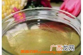 玉米须与白茅根的功效与作用