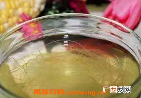 玉米须与白茅根的功效与作用