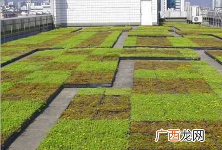 北京新增54例感染者 2地升高风险 园林工程质量要求及验收标准面层质量要求