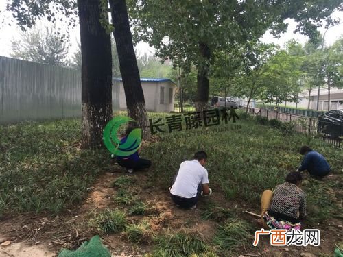 北京新增54例感染者 2地升高风险 北京华春园林绿化工程有限公司