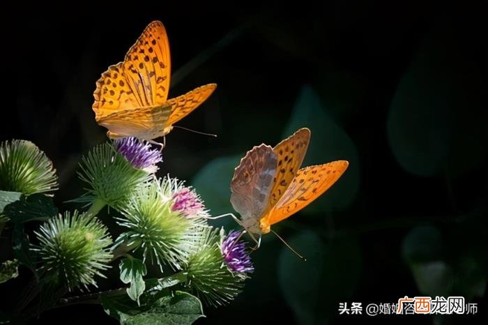 铁了心要离婚的伴侣怎么挽留 铁了心离婚能感化吗