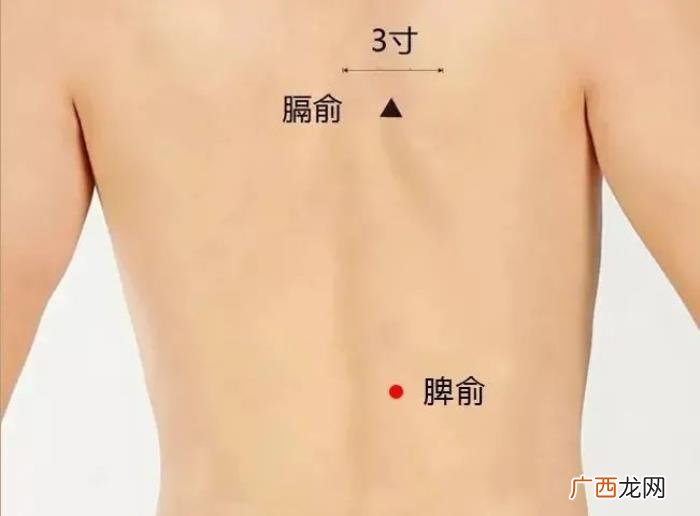 春分后艾灸减肥又刮油 小s减肥语录