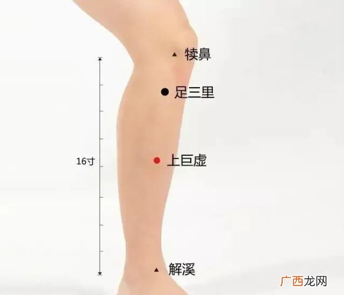 春分后艾灸减肥又刮油 小s减肥语录