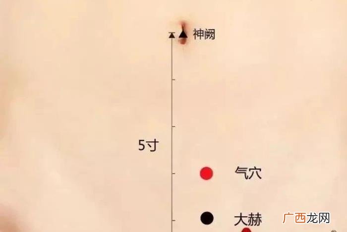 春分后艾灸减肥又刮油 小s减肥语录