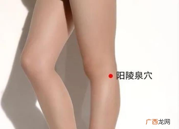 春分后艾灸减肥又刮油 小s减肥语录