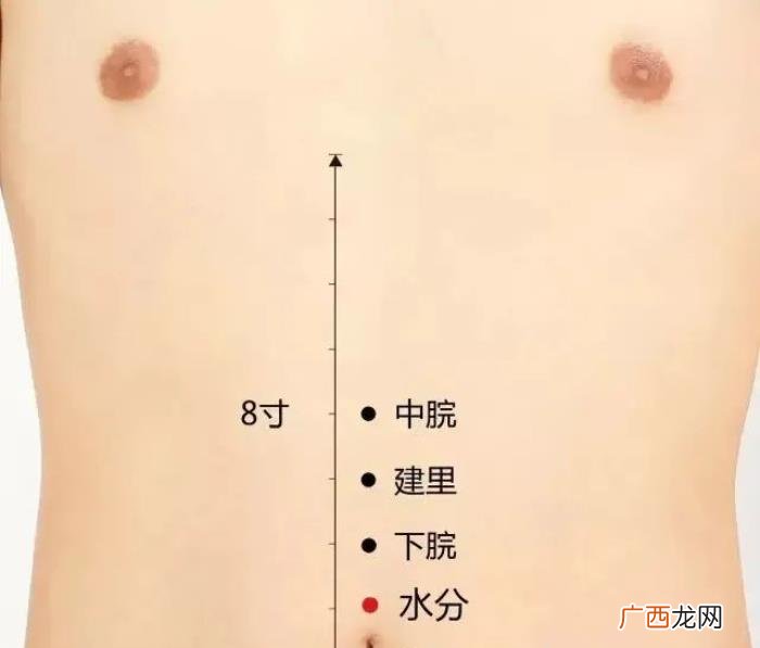 春分后艾灸减肥又刮油 小s减肥语录