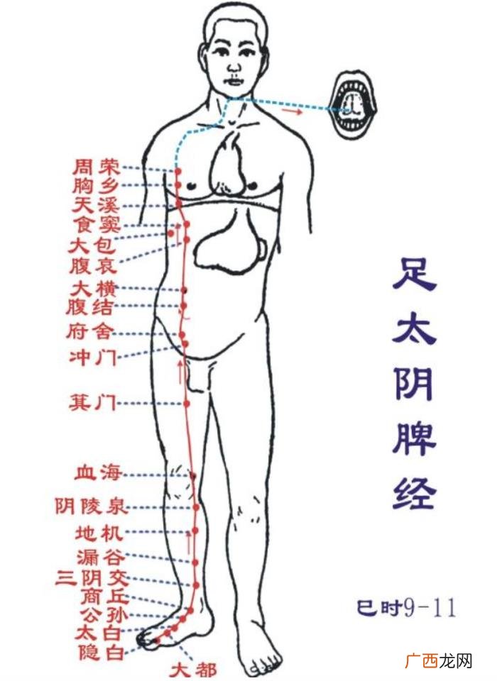 春分后艾灸减肥又刮油 小s减肥语录