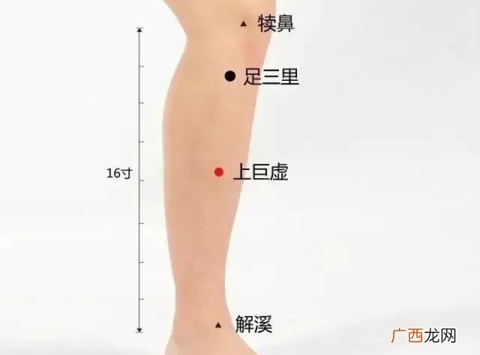 春分后艾灸减肥又刮油 小s减肥语录