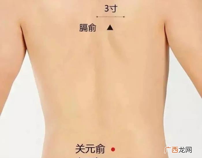 春分后艾灸减肥又刮油 小s减肥语录