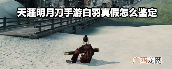 天涯明月刀手游白羽真假鉴定攻略