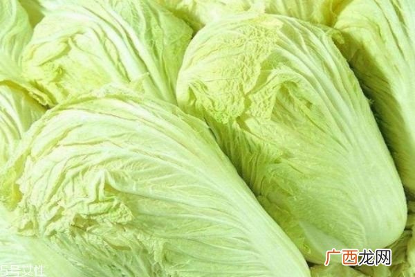 大白菜有什么营养价值呢吃大白菜有什么好处呢