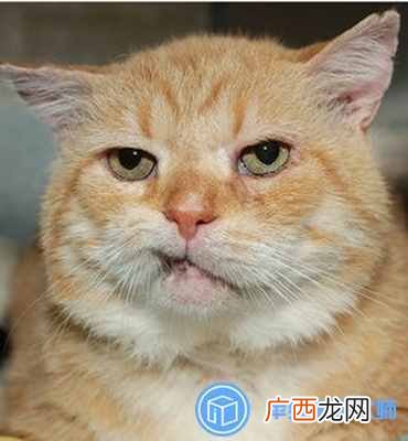 QQ好友恢复系统使用方法 qq好友恢复系统在哪里找