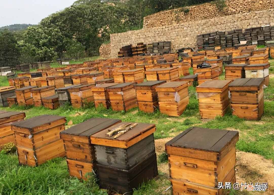 未来5年暴利的行业 最赚钱的养殖项目有哪些