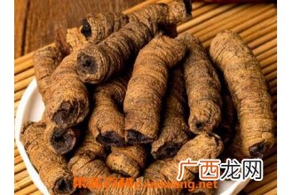 巴戟天的功效与作用及食用方法