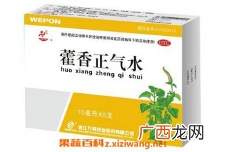 藿香正气水的功效与作用及禁忌