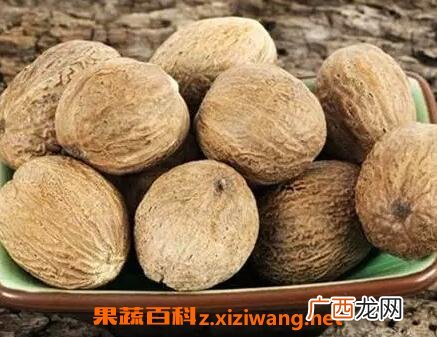 肉豆蔻的功效与作用 肉豆蔻的药用价值