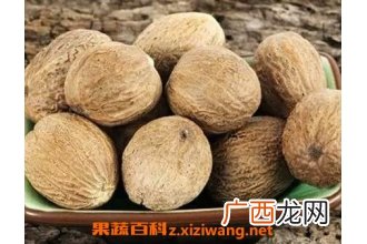 肉豆蔻的功效与作用 肉豆蔻的药用价值