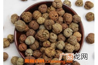 草豆蔻的功效与作用及禁忌