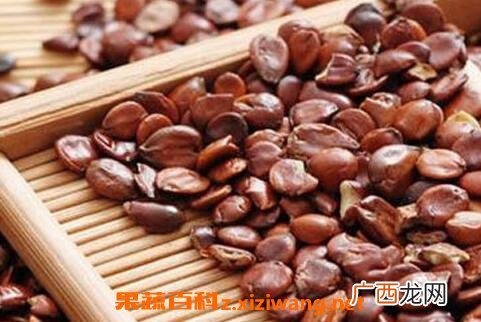 炒酸枣仁的功效与作用及食用方法