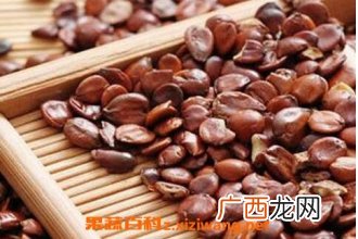 炒酸枣仁的功效与作用及食用方法