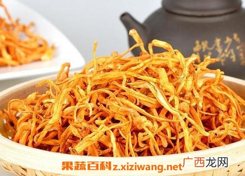 虫草花的功效与作用及食用方法