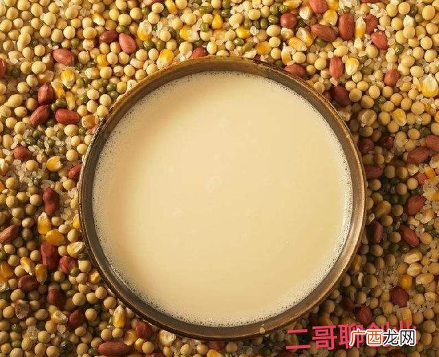 168汤包一年能赚多少 168包子加盟