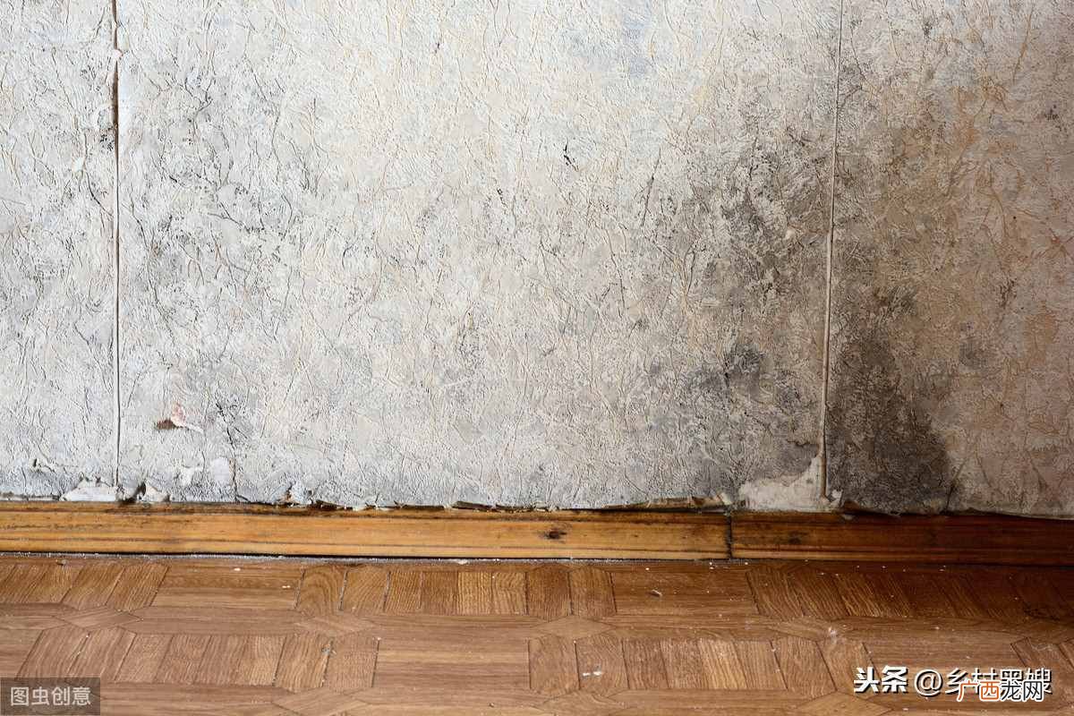 快速解决屋里潮湿 返潮现象的物理解释