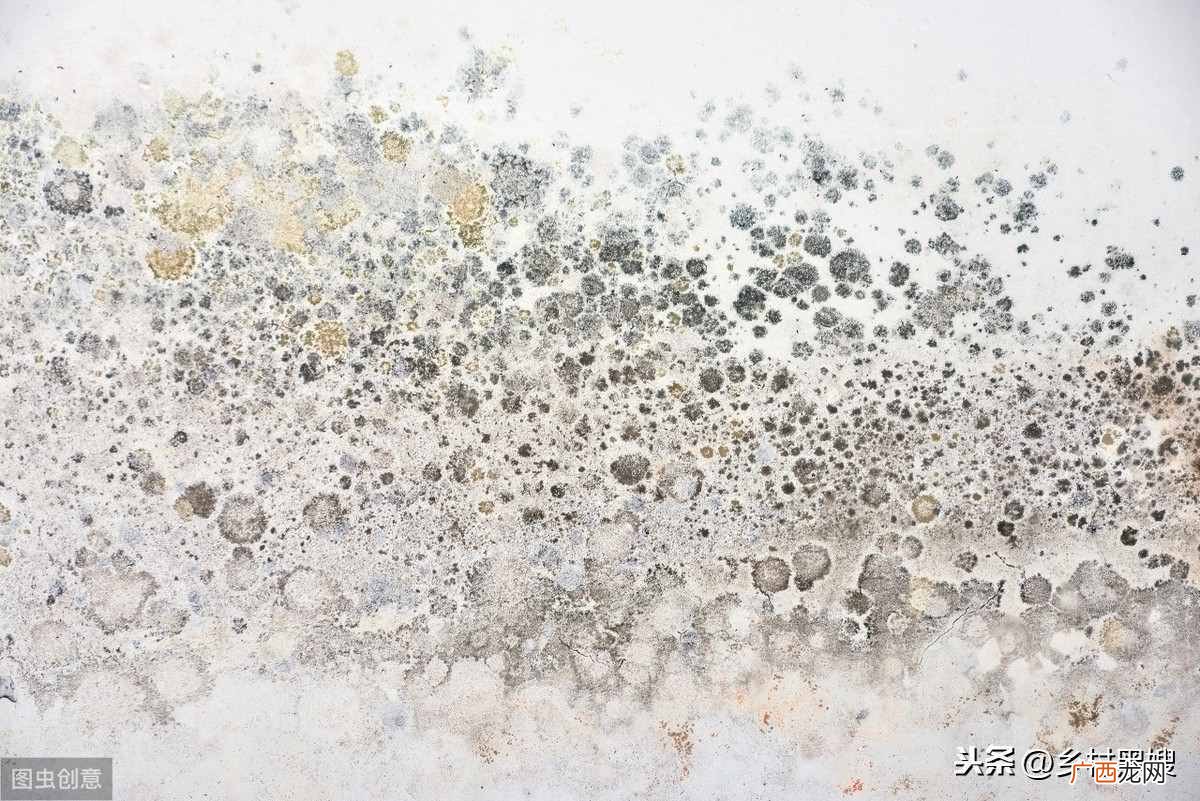 快速解决屋里潮湿 返潮现象的物理解释