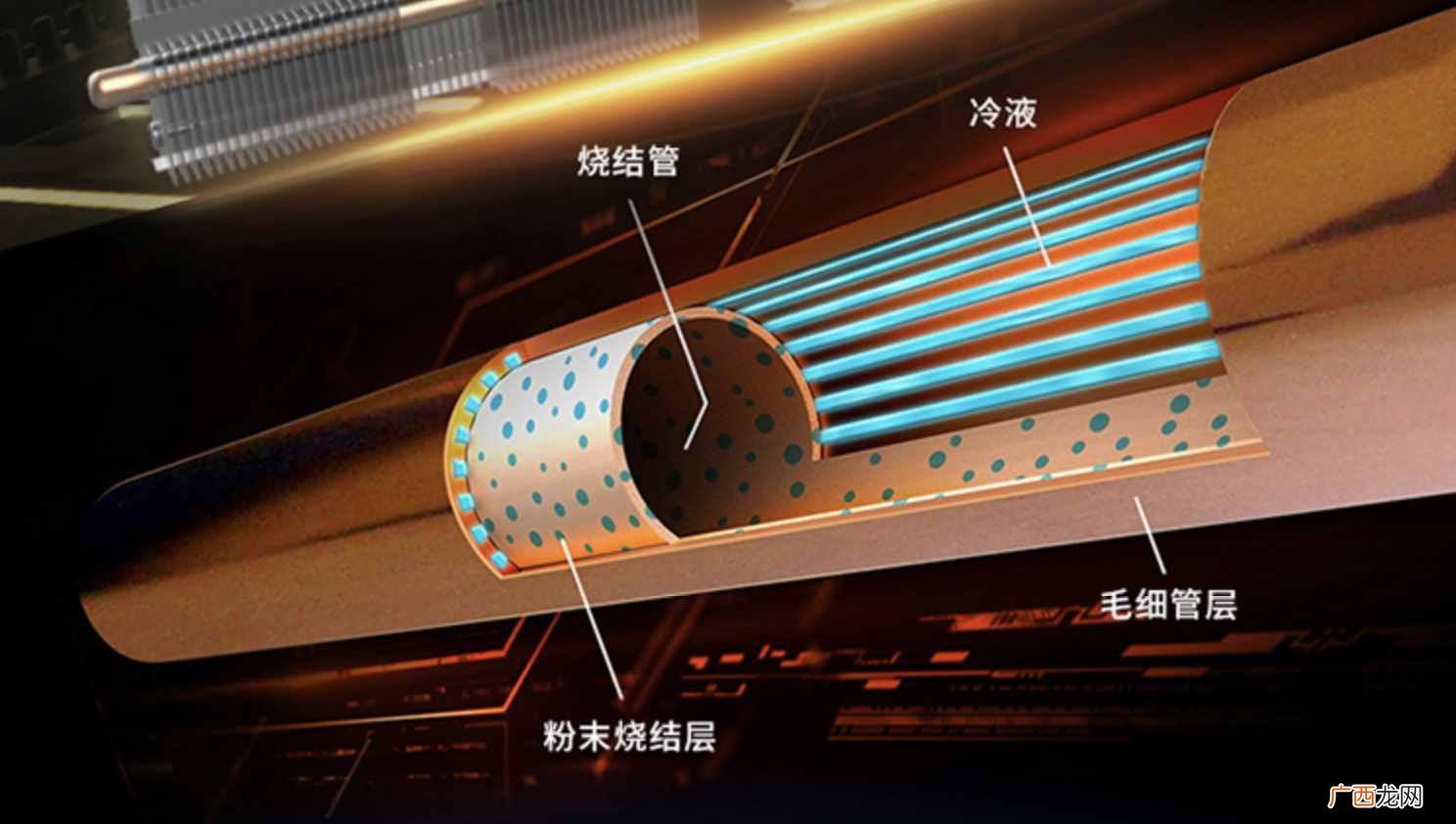 2021显卡品牌排行榜 显卡品牌哪个比较好