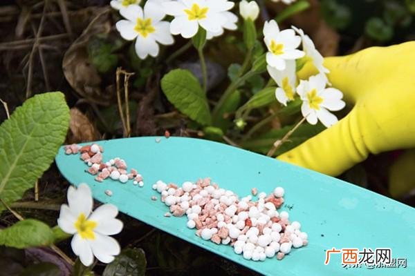 开什么厂比较好找销路 开个小厂子干什么好