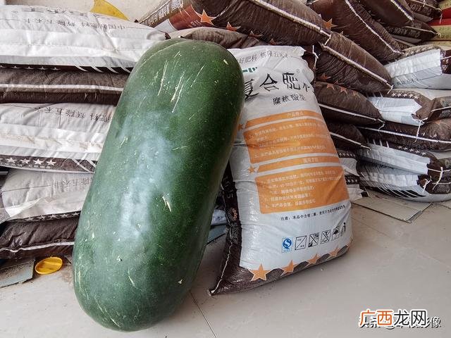 农村乡镇适合做什么生意 适合农村开的十五种店
