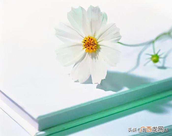女人出轨的五个细节 老婆有没有出轨看哪里