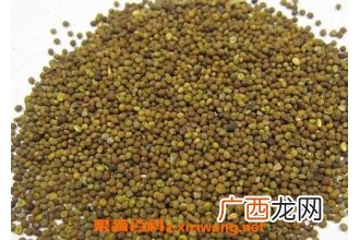 菟丝子的功效与作用及禁忌