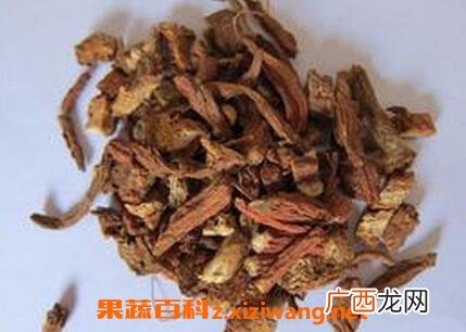 中药大红袍的功效与作用