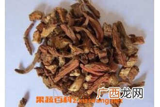 中药大红袍的功效与作用