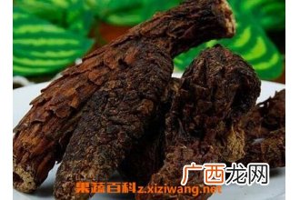 肉苁蓉的功效与作用及禁忌