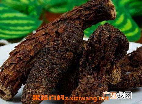 肉苁蓉的功效与作用及禁忌