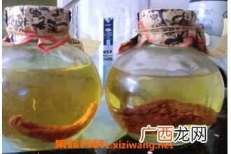 天麻怎么吃 天麻的吃法技巧