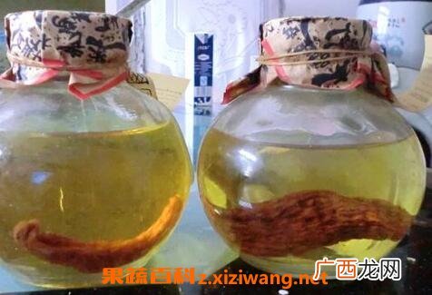 天麻怎么吃 天麻的吃法技巧