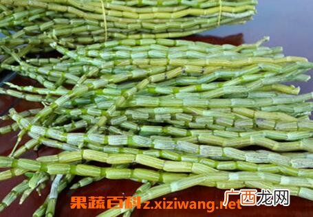 铁皮石斛怎么吃 铁皮石斛的吃法技巧和功效