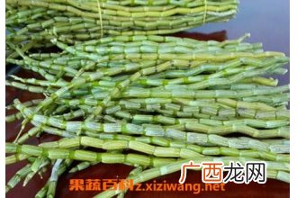铁皮石斛怎么吃 铁皮石斛的吃法技巧和功效